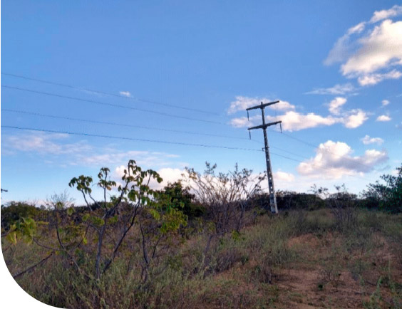 LINHA DE TRANSMISSÃO - COMPANHIA ENERGÉTICA DE PERNAMBUCO - CELPE